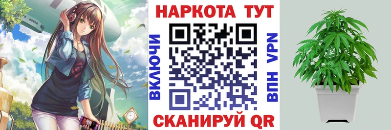 Где продают наркотики Новоржев A PVP  Гашиш  Экстази  блэк спрут как зайти  Амфетамин  Кокаин 