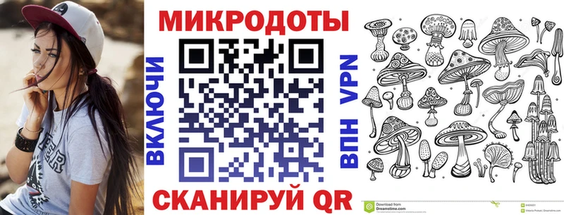 darknet официальный сайт  Новоржев  Псилоцибиновые грибы прущие грибы  где найти наркотики 