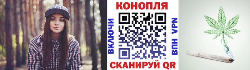 Каннабис конопля  Новоржев 